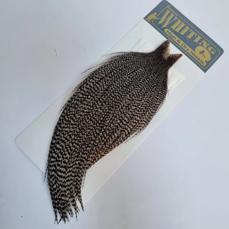 Whiting High and Dry Rooster Cape in Grizzly Dyed Medium Dun-2